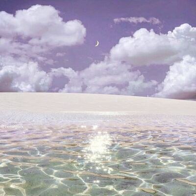 新宝体育官方登录入口