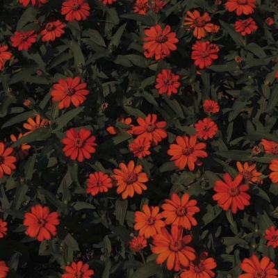 半岛综合app官网版登录