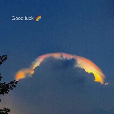 米乐m6下载罗纳尔迪尼奥截图